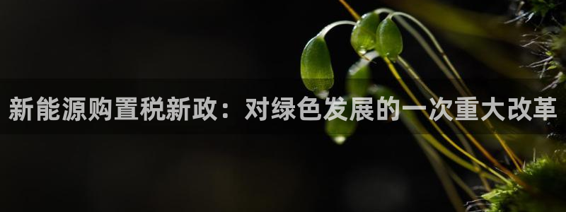 新宝娱乐gg