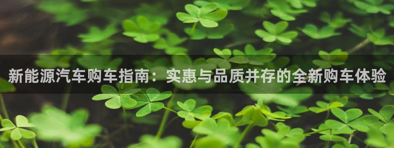 新宝gg 网址
