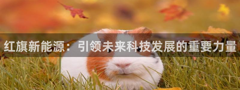 新宝gg官网登录找代理