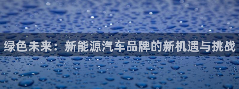 www.新宝gg