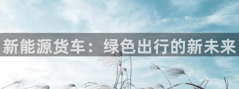 新宝gg用哪个浏览器