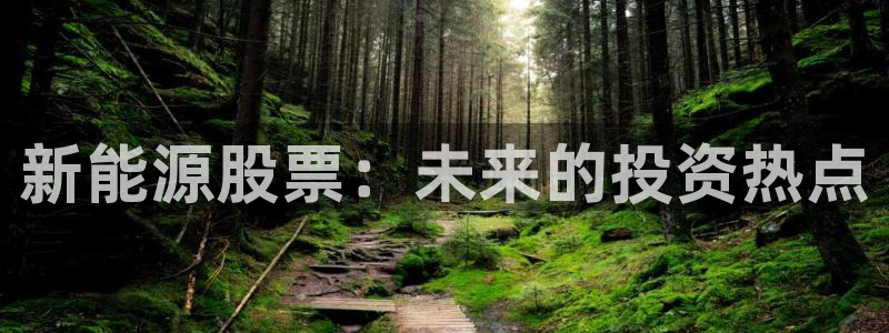 新宝gg主管都是谁