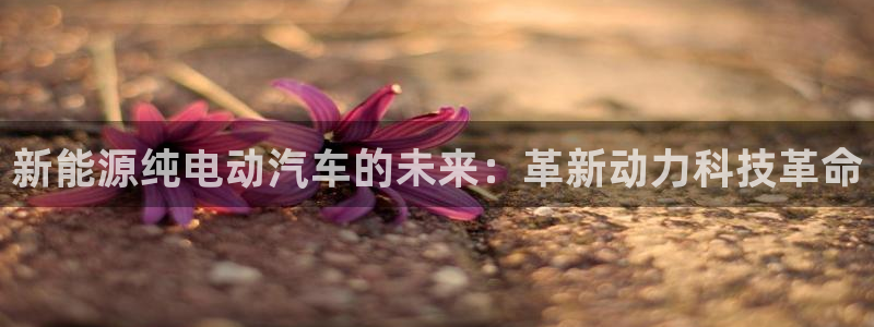 新宝GG挂机