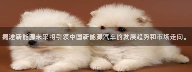 广东新宝电器gg