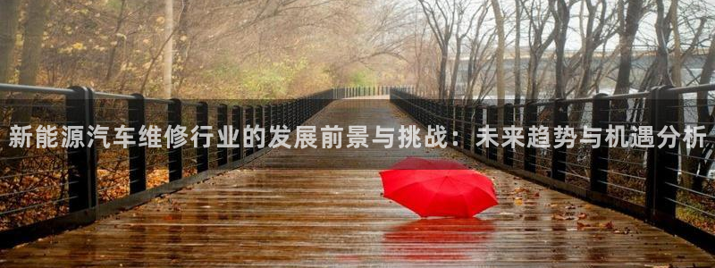 新宝GG上级