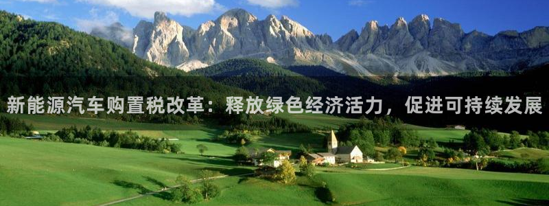 新宝gg博客:新能源汽车购置税改革:释放绿色经济活力,促进可