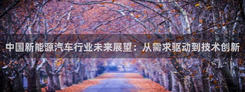 新宝GG扩展78778:中国新能源汽车行业未来展望:从需求驱