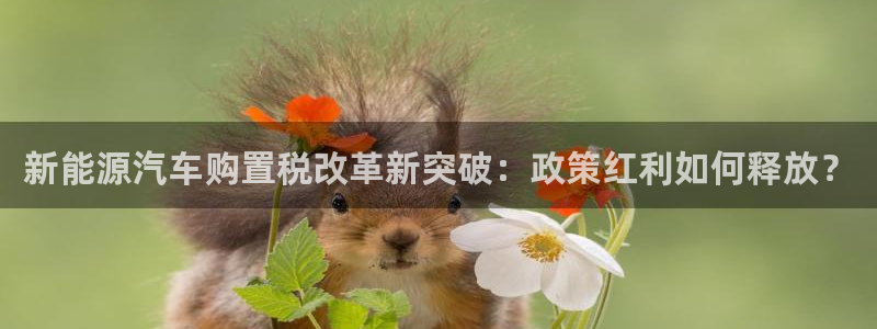 新宝gg6娱乐注册网址:新能源汽车购置税改革新突破:政策红利