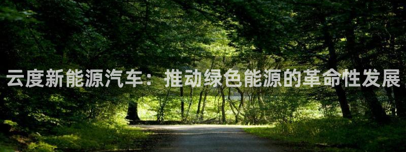 新宝gg申请账号:云度新能源汽车:推动绿色能源的革命性发展