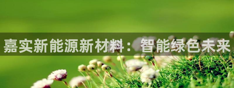 新宝GG扩展78778:嘉实新能源新材料:智能绿色未来