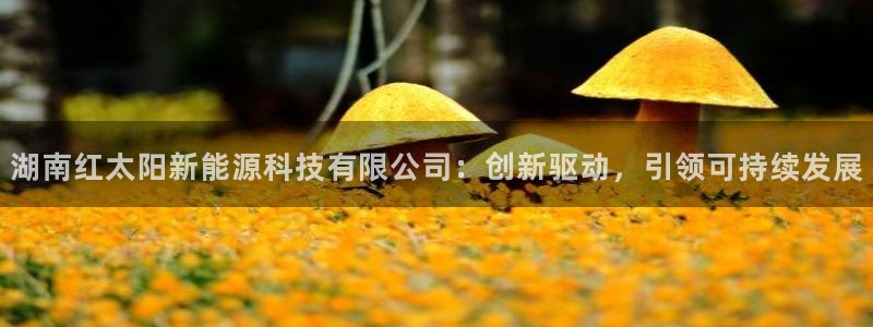 新宝gg平台q891465:湖南红太阳新能源科技有限公司:创