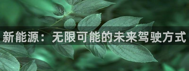 新宝 gg登录:新能源:无限可能的未来驾驶方式