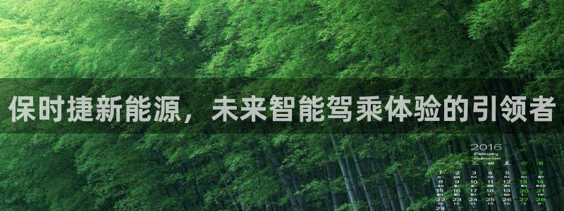 新宝一GG:保时捷新能源,未来智能驾乘体验的引领者
