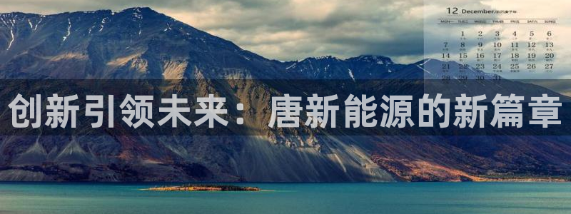 新宝gg -创造:创新引领未来:唐新能源的新篇章