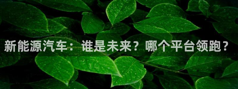 新宝gg技术:新能源汽车:谁是未来?哪个平台领跑?