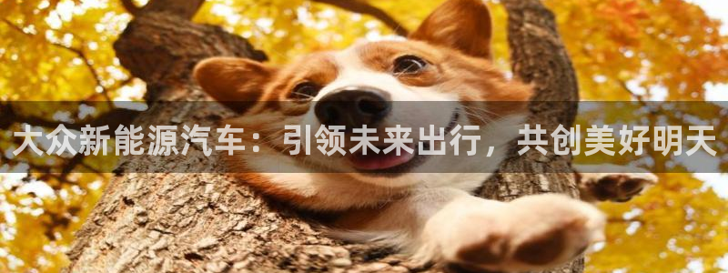 新宝gg网点:大众新能源汽车:引领未来出行,共创美好明天