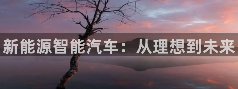 新宝gg__:新能源智能汽车:从理想到未来