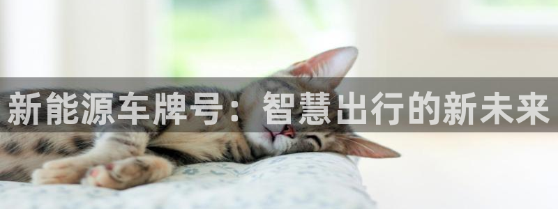 新宝gg登录线路测试:新能源车牌号:智慧出行的新未来