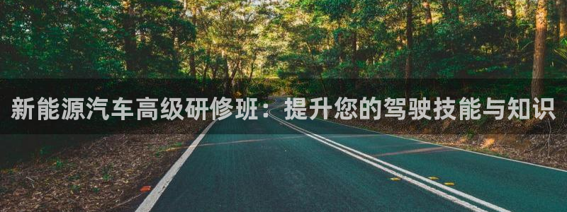 新宝gg注册:新能源汽车高级研修班:提升您的驾驶技能与知识