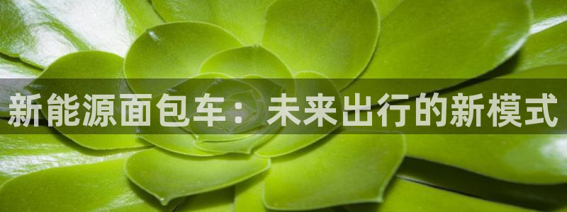 新宝平台gg:新能源面包车:未来出行的新模式