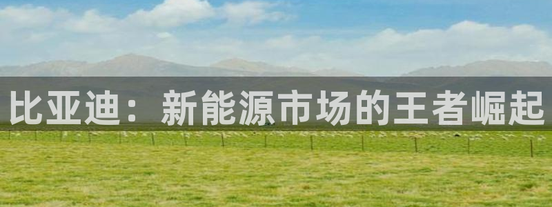 新宝gg 52360:比亚迪:新能源市场的王者崛起