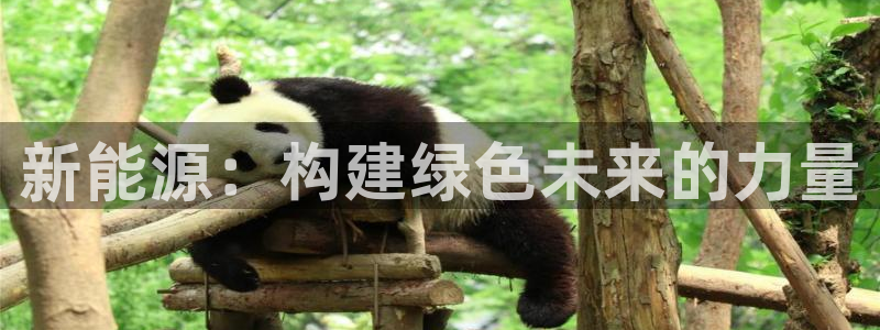 新宝gg怎么做代理:新能源:构建绿色未来的力量