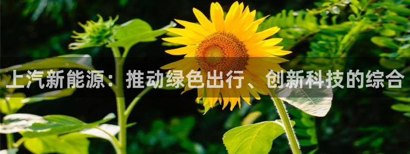 新宝gg怎么做代理:上汽新能源:推动绿色出行、创新科技的综合