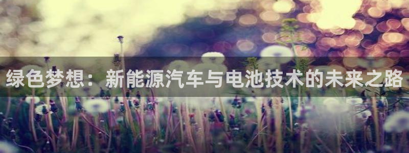 新宝gg登录新:绿色梦想:新能源汽车与电池技术的未来之路