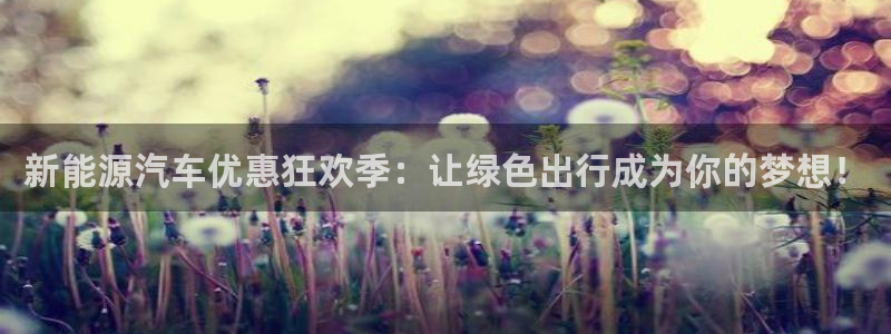 新宝gg平台开发