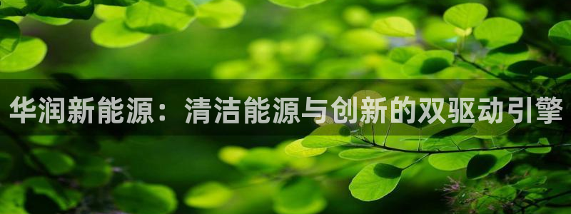 新宝gg返点1956是多少