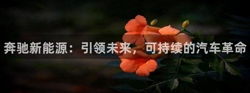 广东新宝电器gg