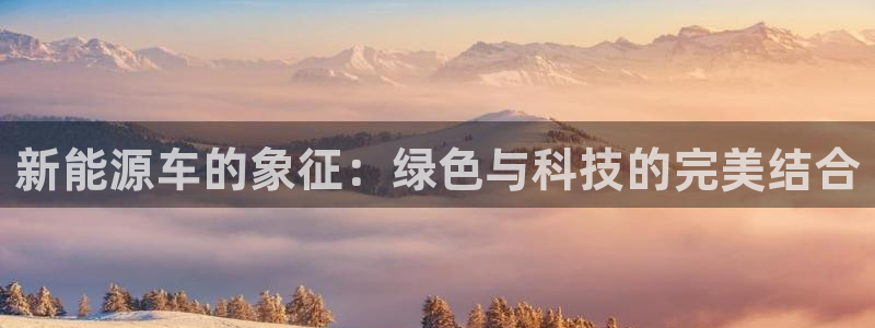 新宝GG专业团队