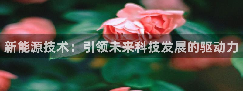 新宝gg官方：新能源技术：引领未来科技发