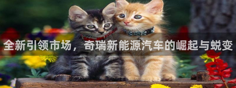 新宝g新宝gg:全新引领市场,奇瑞新能源汽车的崛起与蜕变