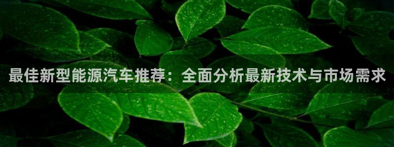 新宝gg如何做到总代理:最佳新型能源汽车推荐:全面分析最新技