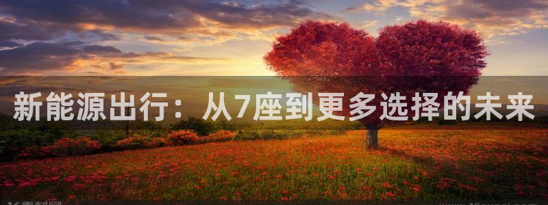 新宝gg怎么开户:新能源出行:从7座到更多选择的未来