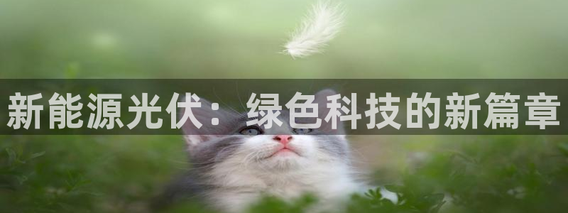 新宝gg注册平台:新能源光伏:绿色科技的新篇章