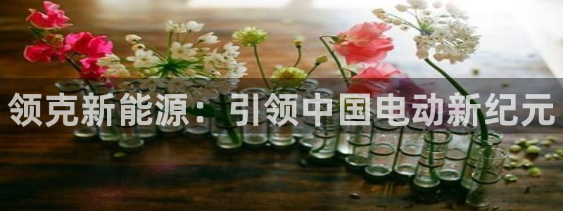 新宝GG苹果版:领克新能源:引领中国电动新纪元