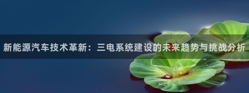 新宝GG都有哪些计划:新能源汽车技术革新:三电系统建设的未来