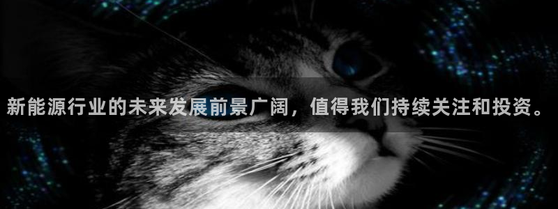 新宝gg刷流水:新能源行业的未来发展前景广阔,值得我们持续关