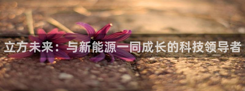 认准新宝gg