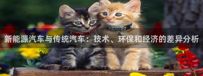 新宝gg计划