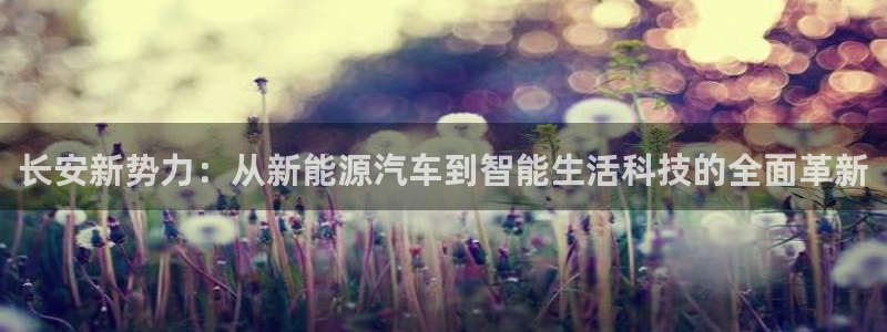 新宝gg代理