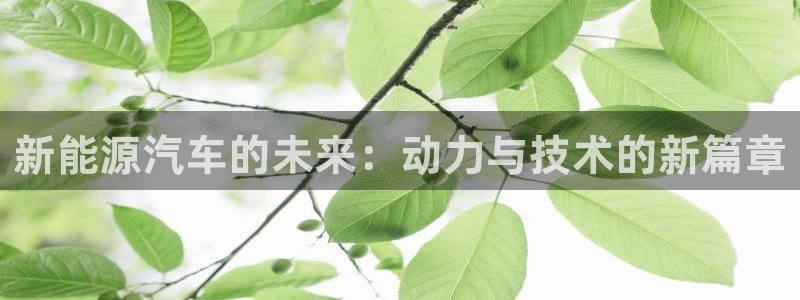 新宝gg109
