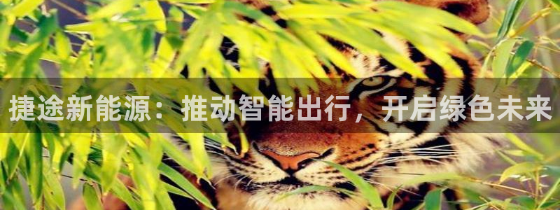gg新宝创新