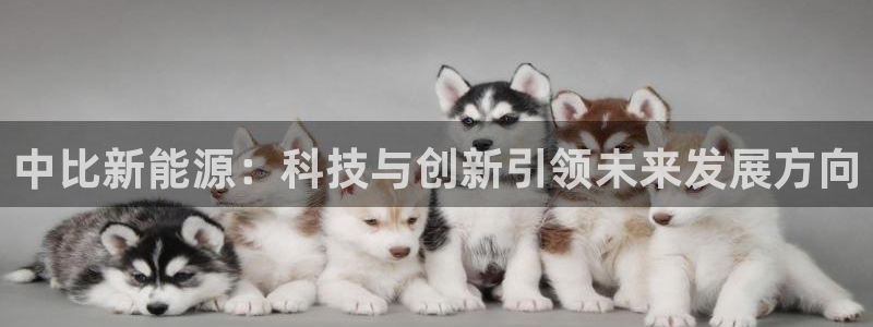 新宝gg老板