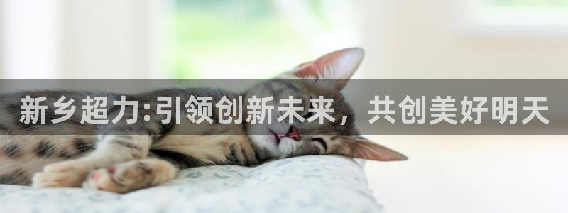 新宝GG傲78778：新乡超力:引领创新