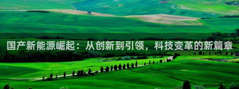 新宝gg登:国产新能源崛起:从创新到引领,科技变革的新篇章
