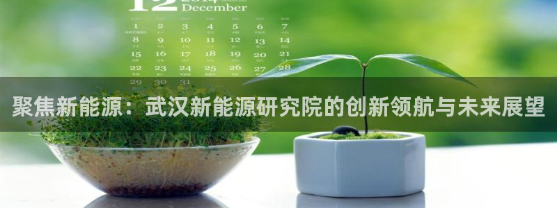 新宝gg选择75775：聚焦新能源：武汉