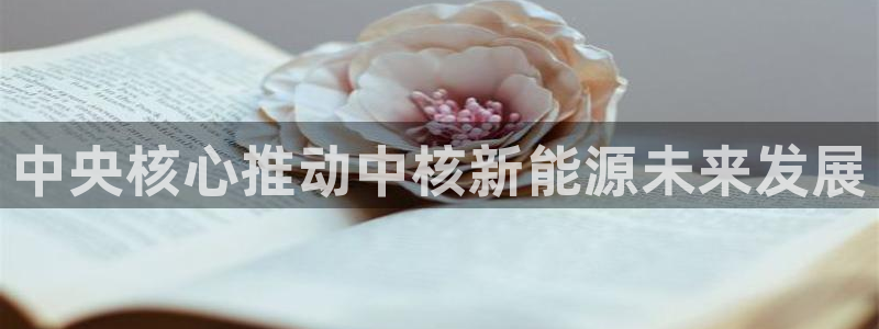 gg新宝gg：中央核心推动中核新能源未来